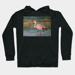 Pink flamingo on the Muga River Hoodie